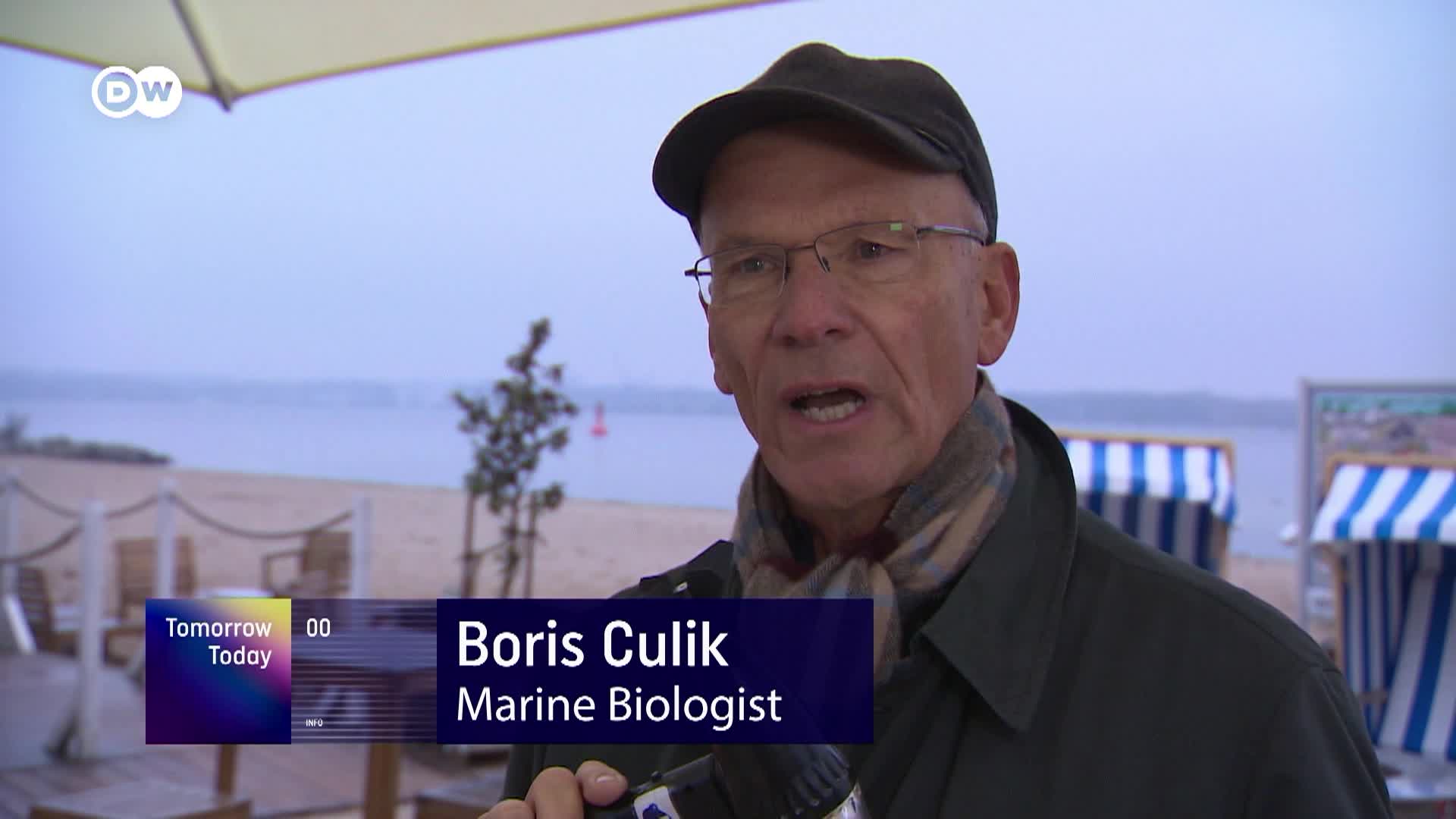 Thumbnail image for PZWTEN_TomorrowToday_260207_0626_MMS062