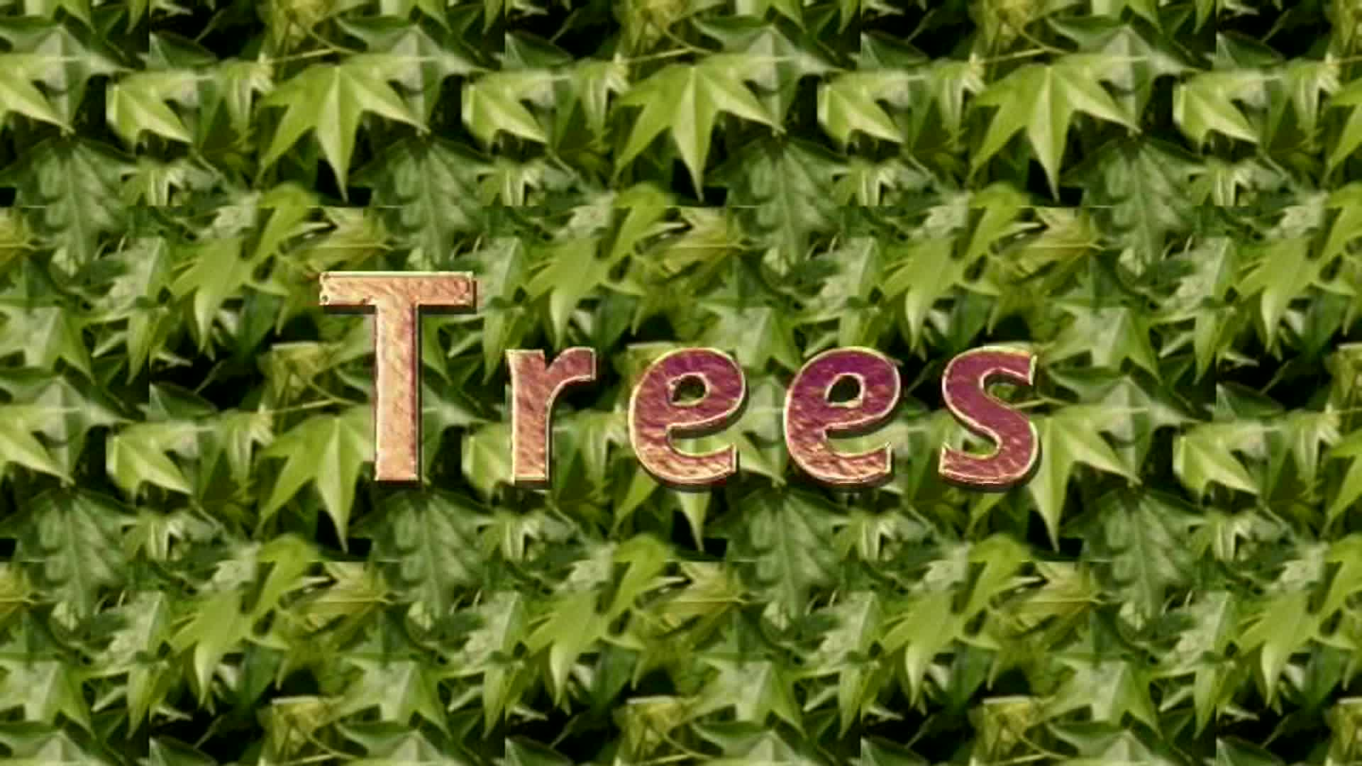 Thumbnail image for Lets Visit Show_trees-st