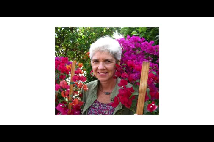 Thumbnail image for Fan_to_Fan_-_The_Book_Game_-_Janis_Luedke
