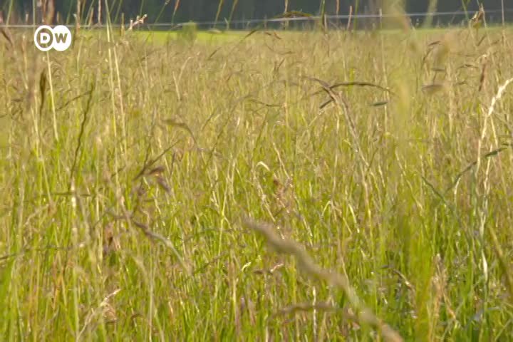 Thumbnail image for PZWTEN_TomorrowToday