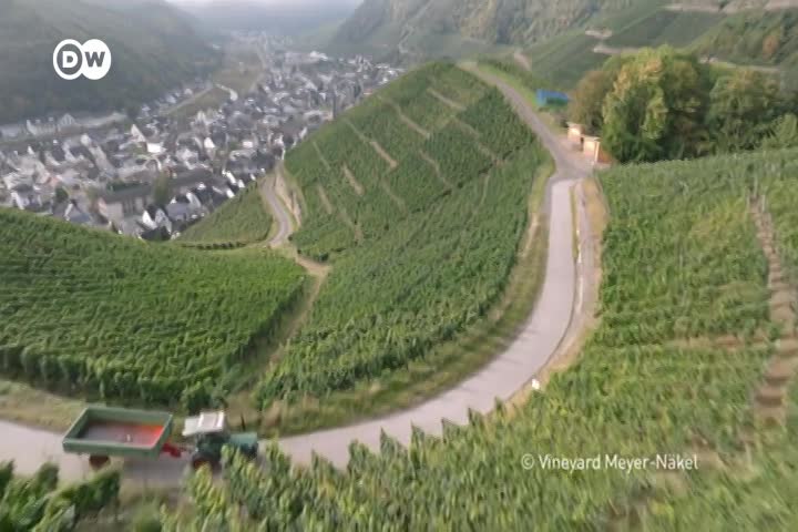 Thumbnail image for EMKUEN_Euromaxx