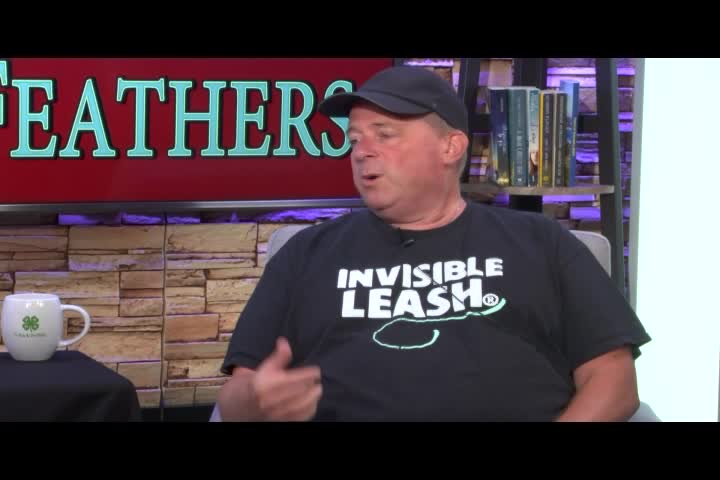 Thumbnail image for Fur,_Fins_and_Feathers_Ep_129