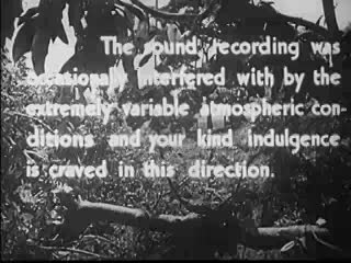 Thumbnail image for new_adventures_of_tarzan_512kb