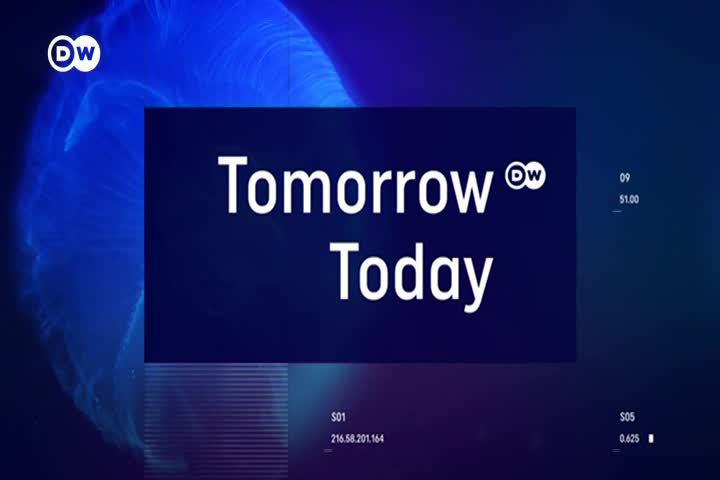 Thumbnail image for PZWTEN_TomorrowToday